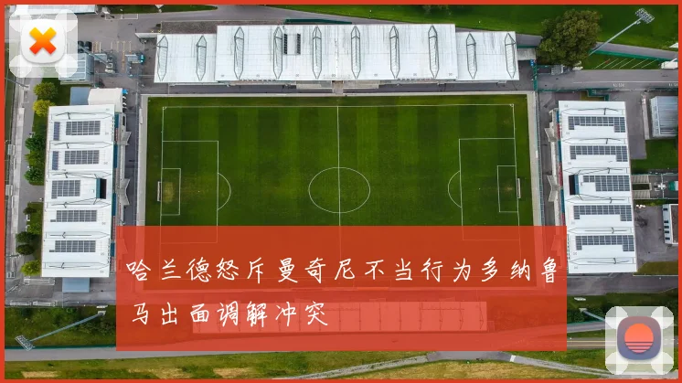 哈兰德怒斥曼奇尼不当行为多纳鲁马出面调解冲突