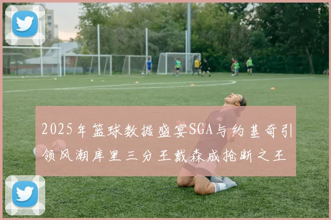 2025年篮球数据盛宴SGA与约基奇引领风潮库里三分王戴森成抢断之王
