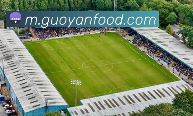 星空app登录入口品牌故事