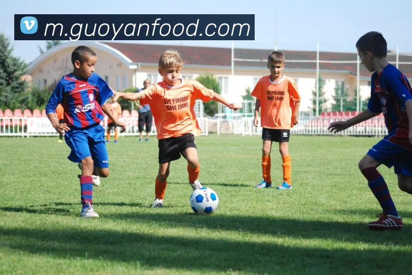 星空app登录入口服务体系